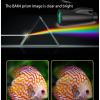 Adult Monocular Telescope with Tripod for Bird Watching, Camping, and Travel - Compact and Lightweight view 3