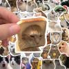 100Pcs Cute Cat Meme Kitten Stickers Decorate Guitar Notebook Luggage DIY Waterproof Vinyl Sticker view 3
