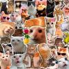 100Pcs Cute Cat Meme Kitten Stickers Decorate Guitar Notebook Luggage DIY Waterproof Vinyl Sticker view 4