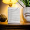 ELAC NAVA100 Portable Bluetooth Speaker in Black (Adsum Cream) view 2