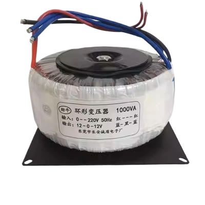 1000W high-Power Amplifier toroidal Transformer 380V220V to 12V24V36V48V100V110V220V(48V)