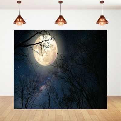10x5ft Moon Backdrop Moonlit Sea Night Full Moon Photography Background Baby Shower Birthday Party Kids Portrait Party Banner Decorations Photo Studio Props