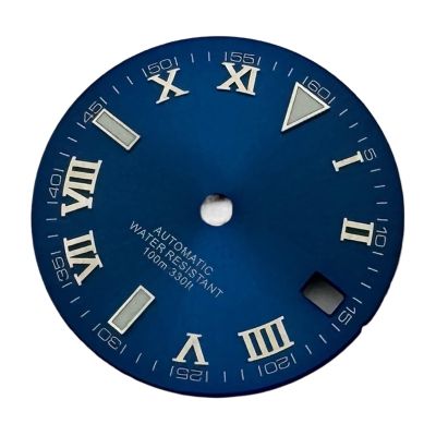 Black Gray White Blue 29mm Dial Luminous Fit NH35 Mechanical Movement Watch Parts(01)
