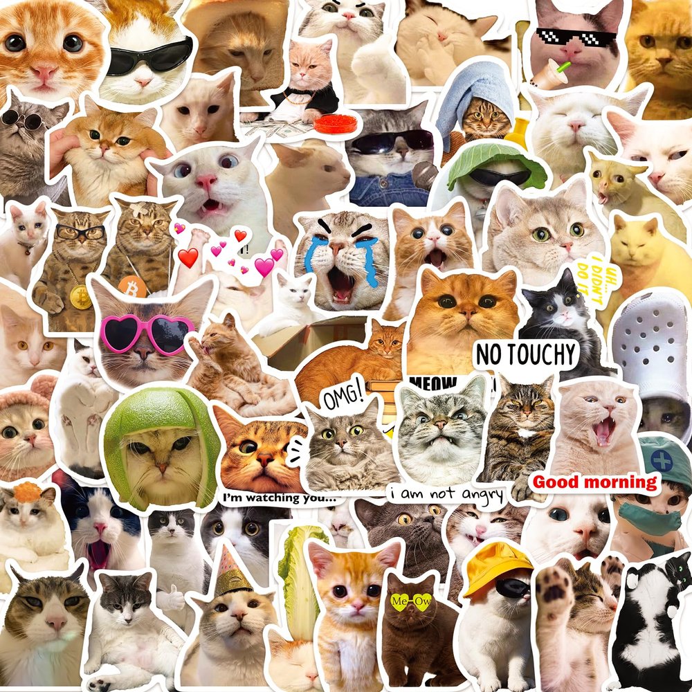 100 PCS Cat Meme Stickers, Funny Cat Sickers Cute Kitten Waterproof Vinyl Decals for Water Bottle Laptop Suitcase, DIY Party Decorations Favors for Adults Teens, Cat Lovers
