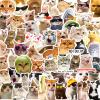 100 PCS Cat Meme Stickers, Funny Cat Sickers Cute Kitten Waterproof Vinyl Decals for Water Bottle Laptop Suitcase, DIY Party Decorations Favors for Adults Teens, Cat Lovers view 1