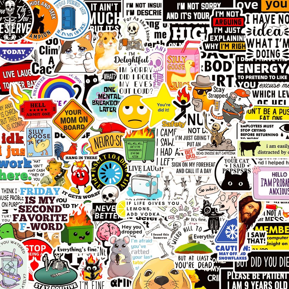 100 PCS Funny Stickers for Adults, Sarcastic Meme Stickers Waterproof Vinyl Cool Accesory Decals for Laptop Water Bottles Car Bumper Phone Hard Hats Scrapbook