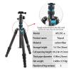 Tripod Stand, Micro SLR Camera Tripod Outdoor Portable Photo Carbon Fiber Mobile Phone Live Stream Bracket view 4