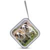 FekiLoot Two Cute Bulldog Dogs CD Case 40 Discs Heavy Duty Bag Binder Storage Booklet Album Portable DVD CD Case Holder for Car Sturdy Hard Plastic Disc Cases for Home Office Travel view 3