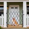 YITAHOME Single Folding Security Gate, 50" Hx75 W Folding Door Gate view 2