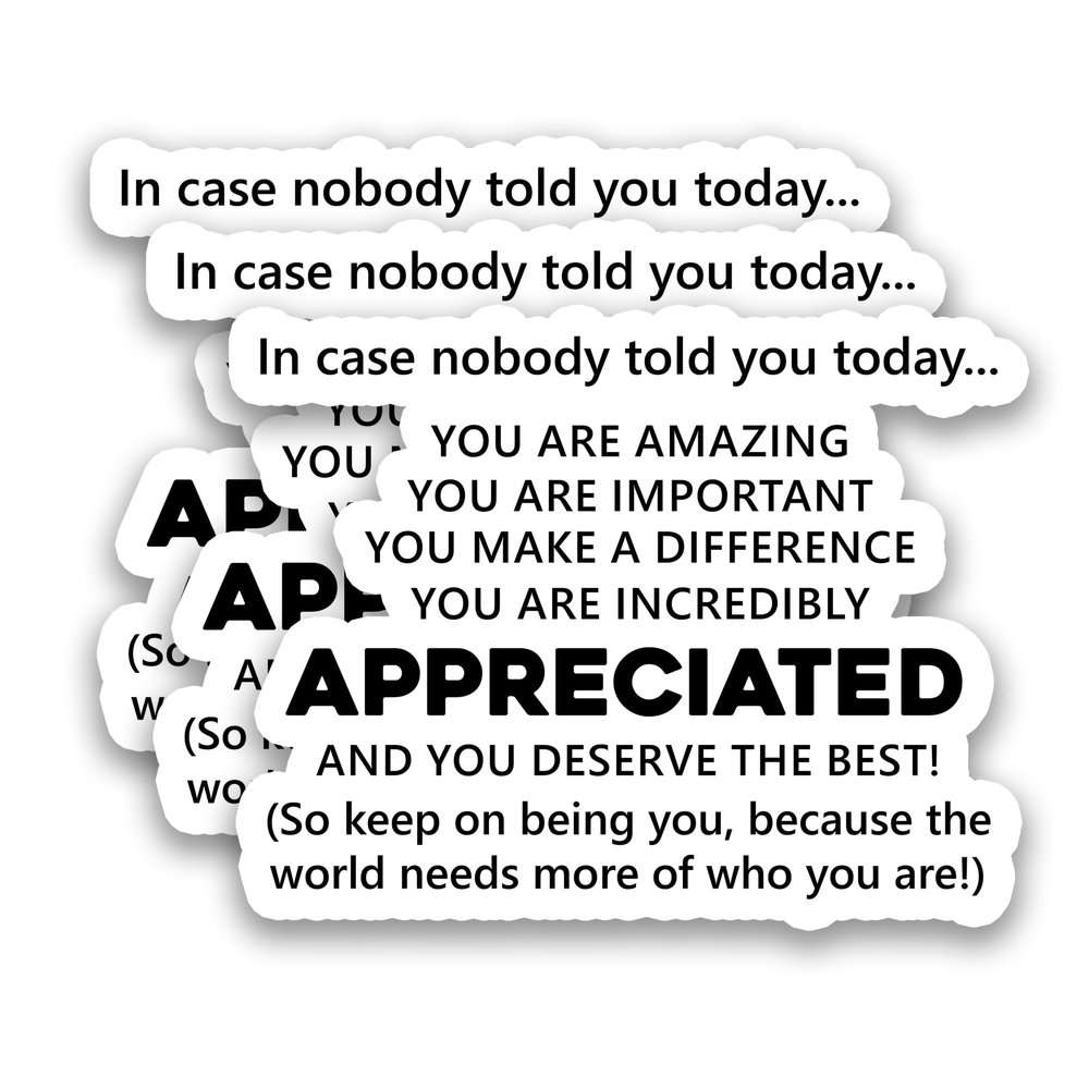 (3Pcs) in Case Nobody Told You Today You are Amazing & Appreciated Stickers Motivational Inspirational Encouraging Quote Vinyl Decals for Laptop, Water Bottle, Journal, Planner, 3" x 2.3"