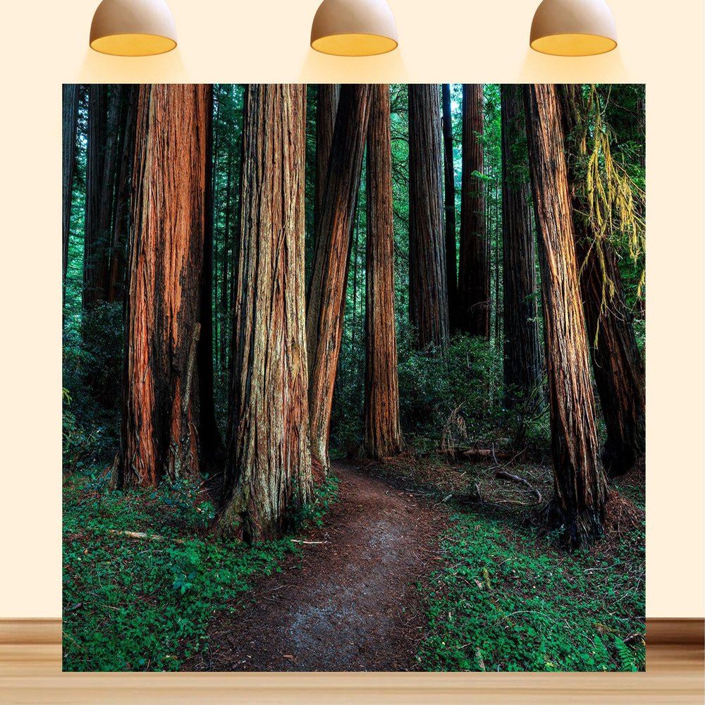 10X7ft Fabric Pathway Backdrop Forest Wooden Pathway Forest Path Outdoor Themed Party Photo Studio Props