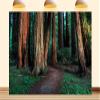 10X7ft Fabric Pathway Backdrop Forest Wooden Pathway Forest Path Outdoor Themed Party Photo Studio Props view 1