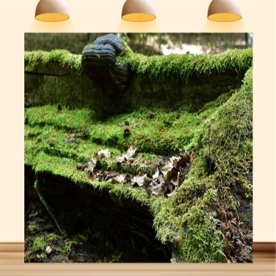 12X8ft Fabric Forest Moss Backdrop Durable Backdrop Material Rainforest Tropical Outdoor Adventure Green Grass Background Party Decorations Photoshoot Studio Props
