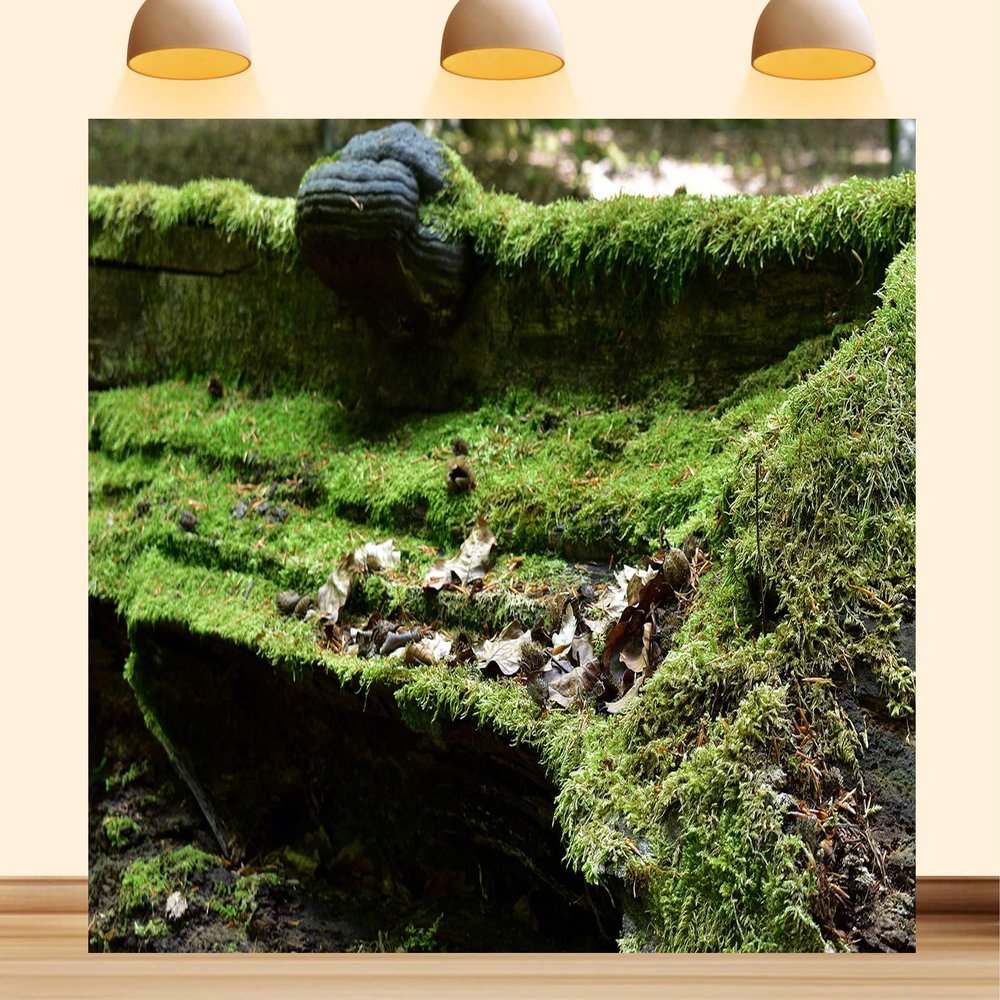 12X8ft Fabric Forest Moss Backdrop Durable Backdrop Material Rainforest Tropical Outdoor Adventure Green Grass Background Party Decorations Photoshoot Studio Props