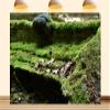 12X8ft Fabric Forest Moss Backdrop Durable Backdrop Material Rainforest Tropical Outdoor Adventure Green Grass Background Party Decorations Photoshoot Studio Props view 1
