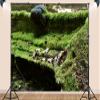 12X8ft Fabric Forest Moss Backdrop Durable Backdrop Material Rainforest Tropical Outdoor Adventure Green Grass Background Party Decorations Photoshoot Studio Props view 3