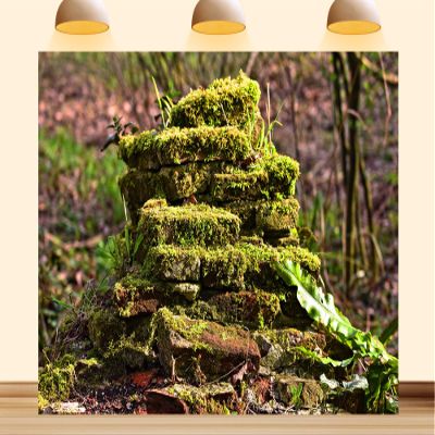 10X8ft Fabric Forest Moss Backdrop Enchanted Mossy Arch Rainforest Tropical Outdoor Adventure Background Party Decorations Photoshoot Studio Props