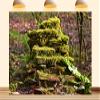10X8ft Fabric Forest Moss Backdrop Enchanted Mossy Arch Rainforest Tropical Outdoor Adventure Background Party Decorations Photoshoot Studio Props view 1