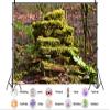 10X8ft Fabric Forest Moss Backdrop Enchanted Mossy Arch Rainforest Tropical Outdoor Adventure Background Party Decorations Photoshoot Studio Props view 2
