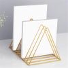 WANGHAI2024M CD Storage Rack Minimalist Triangular Iron Metal CD Albums Record Rack for Home Office Hotel view 4