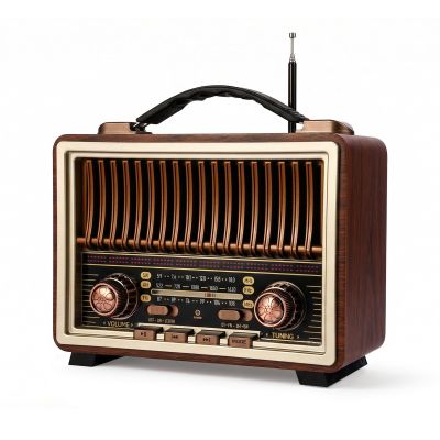 Retro Radio Bluetooth Speaker with Stereo Sound, AM FM Radio Portable with Loud Volume, Rechargeable Speaker (Gold)