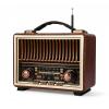 Retro Radio Bluetooth Speaker with Stereo Sound, AM FM Radio Portable with Loud Volume, Rechargeable Speaker (Gold) view 1