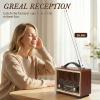 Retro Radio Bluetooth Speaker with Stereo Sound, AM FM Radio Portable with Loud Volume, Rechargeable Speaker (Gold) view 2