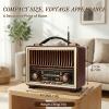 Retro Radio Bluetooth Speaker with Stereo Sound, AM FM Radio Portable with Loud Volume, Rechargeable Speaker (Gold) view 4