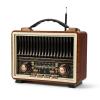 Retro Radio Bluetooth Speaker with Stereo Sound, AM FM Radio Portable with Loud Volume, Rechargeable Speaker (Black) view 1