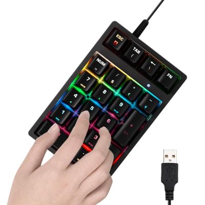 17-Key Numeric Keypad - Multi-Functional Calculator Pad, Plug-in Computer with USB Connection, Number Pad with Responsive Keys, External Keyboard, Wired Keypad for PC Desktop