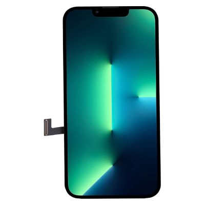 RASTKY FHD LCD Display Screen Assembly with Vibrant Colors for 13 Pro, 6.1in LCD Screen Repair Kit for A2483