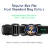 Dog AirTag Holder for Dog Collar, Soft Silicone Slide-On Case for Apple AirTag, No-Dangle Quiet Protective Holder with Eye-Catching Pet Character Designs, Black-Trail Guide view 3