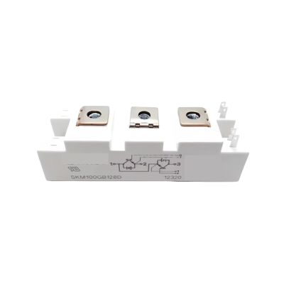 hhbwl0 SKM100GB128D SKM100GB123D SKM100GB063D SKM100GB176D SKM100GB12T4 SKM100GB125DN Module(SKM100GB063D)