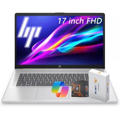 HP 17.3" FHD IPS Business Laptop, AMD Ryzen 5 7430U(6-Core), 32GB RAM, 2.5TB Storage(2TB+500GB External Drive), Numeric Keypad, Fast Charge, Windows 11, WOWPC USB, no Mouse