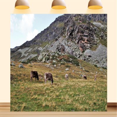 10X8ft Fabric European Countryside Farm Field Backdrop Peaceful Forest Edge Green Pasture Spring Summer Scenery Background Theme Party Outdoor Party Decorations Photo Studio Props