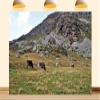 10X8ft Fabric European Countryside Farm Field Backdrop Peaceful Forest Edge Green Pasture Spring Summer Scenery Background Theme Party Outdoor Party Decorations Photo Studio Props view 1