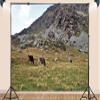 10X8ft Fabric European Countryside Farm Field Backdrop Peaceful Forest Edge Green Pasture Spring Summer Scenery Background Theme Party Outdoor Party Decorations Photo Studio Props view 3