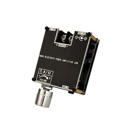 30W BIIuetuth Amplifier Audio Board Mono Pomplifier Sound Amplificador Home Theater Home Aduio Amp TWS