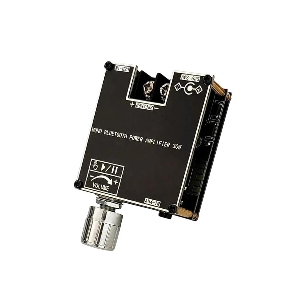 30W BIIuetuth Amplifier Audio Board Mono Pomplifier Sound Amplificador Home Theater Home Aduio Amp TWS