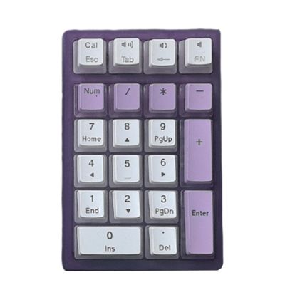 YWLUUOO Mechanical Numeric Keypad Hot-Swap Switches Corded Gaming LED Backlit Keycap Numpad Portable Extended Layout LED Backlit Keycap