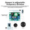 BTZGNDMIO Adjustable Two Way Crossover HiFi Speaker High and Low Frequency Car Tweeter Bass Audio Speaker Divider Filter DIY Home(DIY KIT) view 3