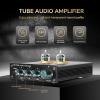 Fabater Phono Preamp for Turntable, Adjustable Home Audio Stereo Pre amp with RCAs Input Ouput, Stereo Audio HiFi Preamplifier for Amplifier Active Subwoofer Speakers (US Plug) view 2