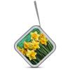 BTCOWZRV Yellow Daffodils Flowers CD Case Hard Plastic 40 Capacity DVD Case Holders Wallet Portable Zipper CD Case DVD Storage Binder Disc Storage Organizer for Car Home Office Travel view 3