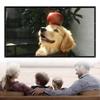 GPXIYZWFF Foldable Projection Screen HD Portable Projector Movie Screen 60 84 100 120 150 200 Inch Outdoor Projector Screen for Home Theater Camping Backyard(72inch (16:9)) view 1