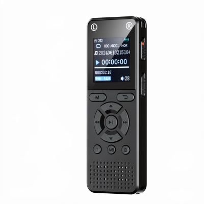 Holyask 192GB Digital Voice Recorder, Portable Audio Recorder with Built-in Speaker, Voice Activated, WAV, A/B Repeat & Password Protection Ideal for Meetings, Lectures & Interviews