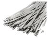 100Pcs 304 Stainless Steel Self-Locking Cable Ties, Multifunctional Coated Metal Zip Ties For Exhaust Wrap & Locking(4.6x600mm) view 1