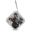 BTCOWZRV French Bulldog CD Case 40 Capacity Hard Plastic DVD Case Portable Zipper CD Cases Holder Large Storage Disc Wallet Bag DVD Disc Cases Storage Binder Home Travel view 3