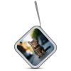 BTCOWZRV Brown Tabby Kitten CD Case 40 Capacity Hard Plastic DVD Case Portable Zipper CD Cases Holder Large Storage Disc Wallet Bag DVD Disc Cases Storage Binder Home Travel view 3