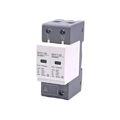 2P AC SPD Surge Protection 1020KA/2040KA /30KA60KA House Lightning Protector Low-Voltage Arrester Protective Device 230V 275V(2P 275V,20-40KA)