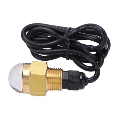 ZJchao 12V 12W Boat LED Underwater Light Brass NPT1/2 Marine Drain Plug Light for Yacht Accessory High Brightness Waterproof IP68 Underwater Lighting for Boats and Yachts